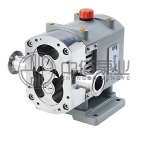 轉子泵 http://www.yhxscf.com/cqzx/zzb/